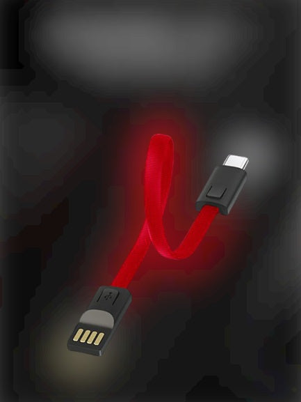 Fast charging cable keychain